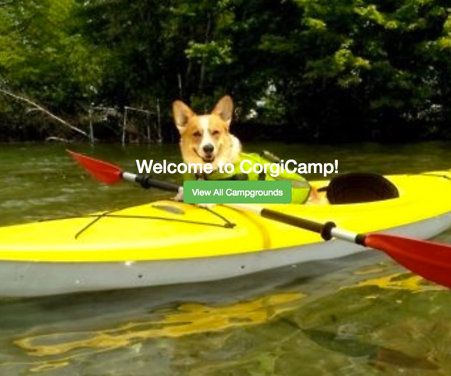 corgi camp thumbnail